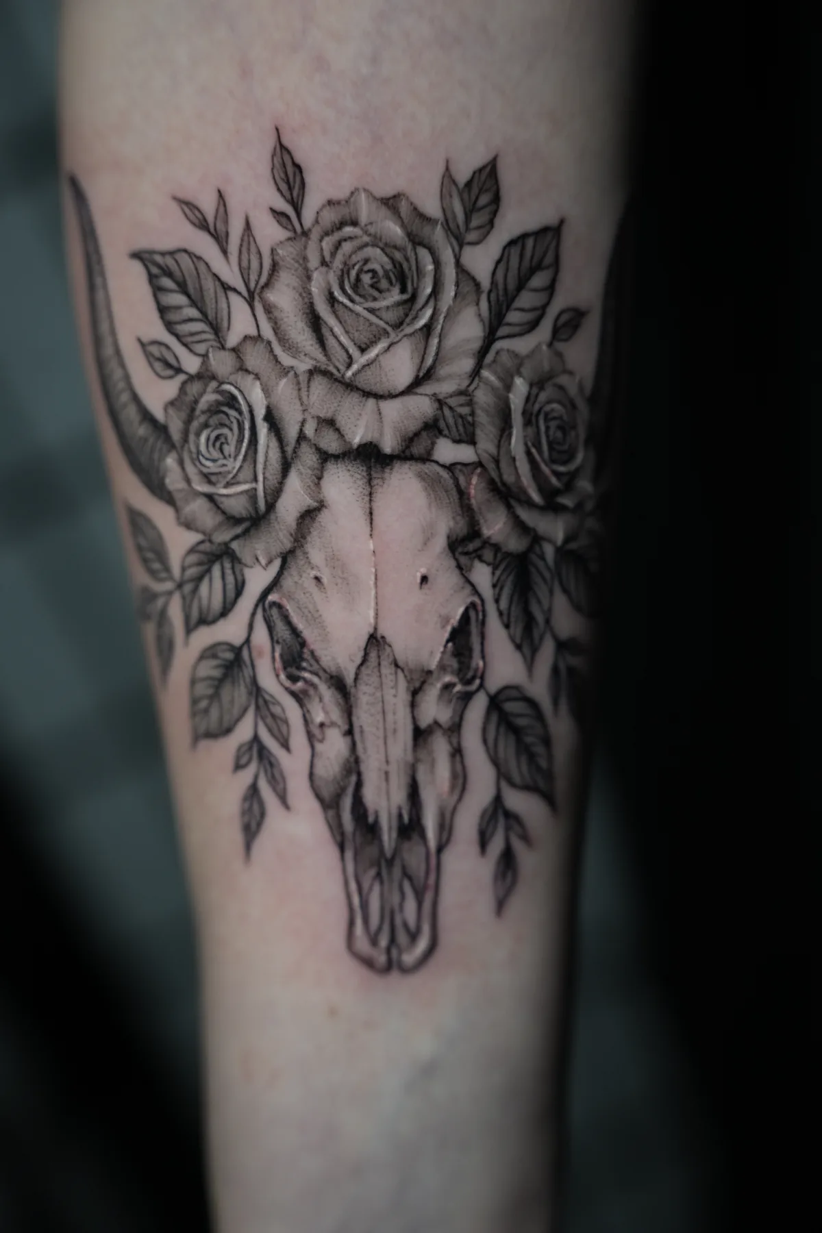 Bull skull tattoo by Heather Baldwin — horned cow skull surrounded by roses and leafy branches, fine dotwork shading on the inner forearm