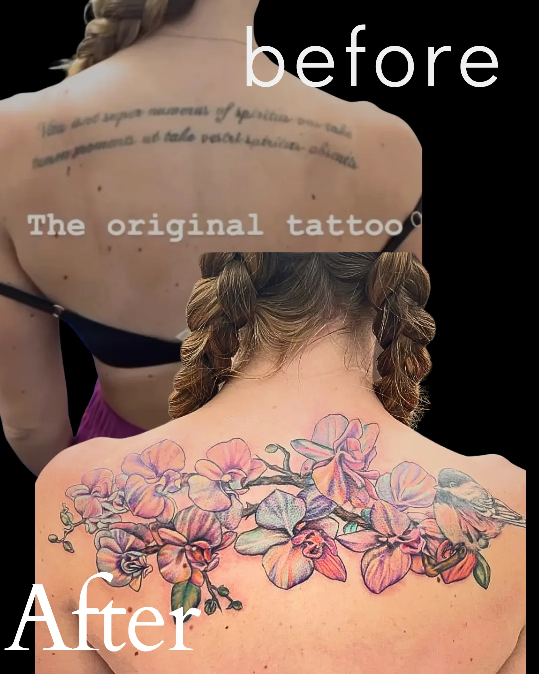 Cover-up tattoo by Heather Baldwin — faded Latin script on the upper back buried under a long branch of pastel orchids with a perched chickadee