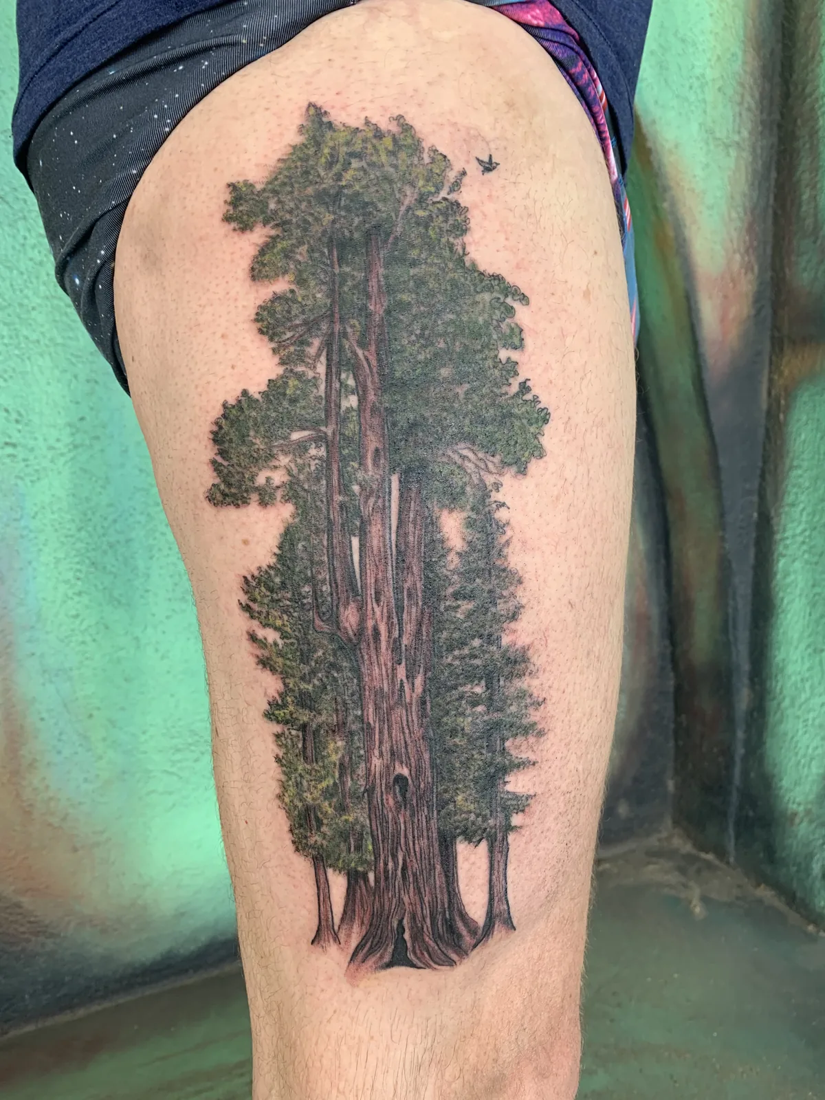 Redwood forest tattoo by Heather Baldwin — twin sequoia trunks with a small bird in flight, photorealistic landscape on the thigh