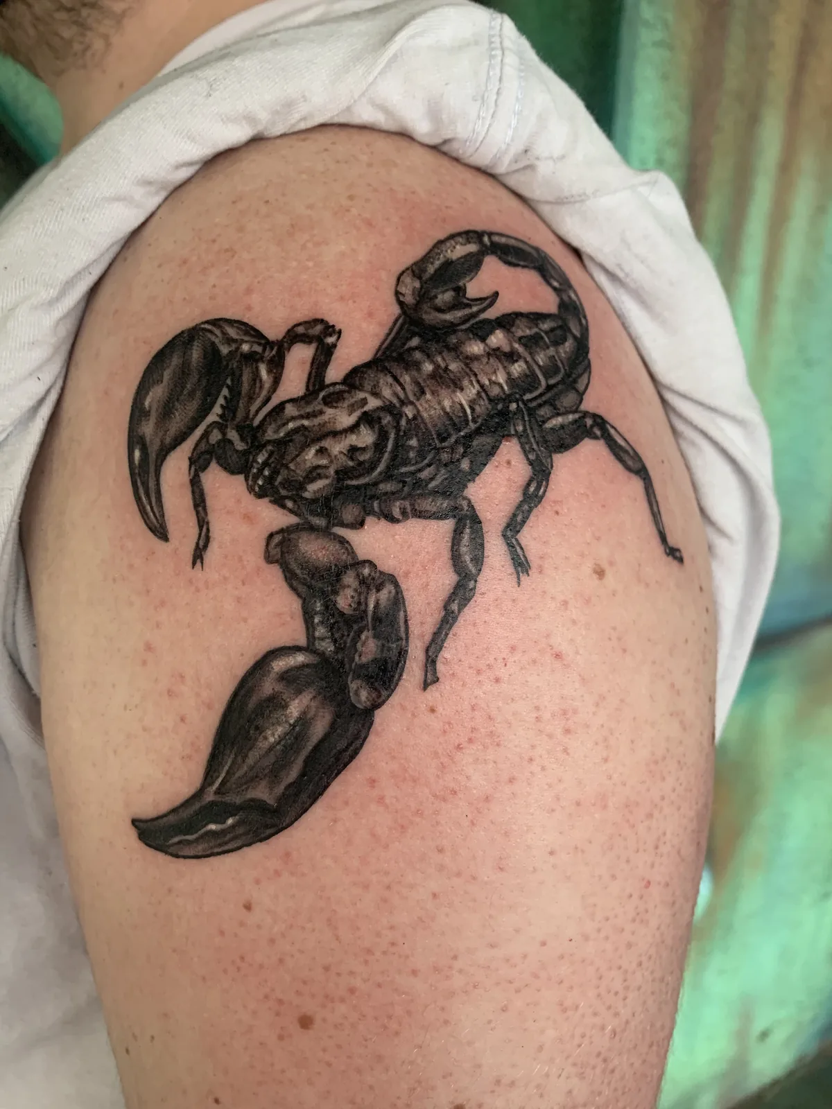 Scorpion tattoo by Heather Baldwin — pincers and stinger raised, photorealistic black and grey shading on the shoulder